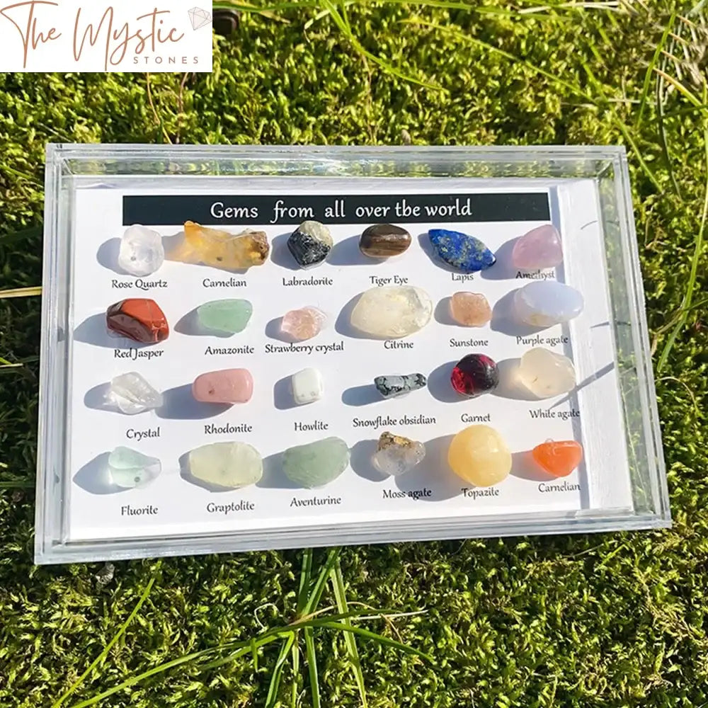 A collection of 24 colorful, polished healing crystals and stones, neatly arranged in a display box.