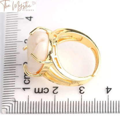 Adjustable Silver Conch Shell Ring