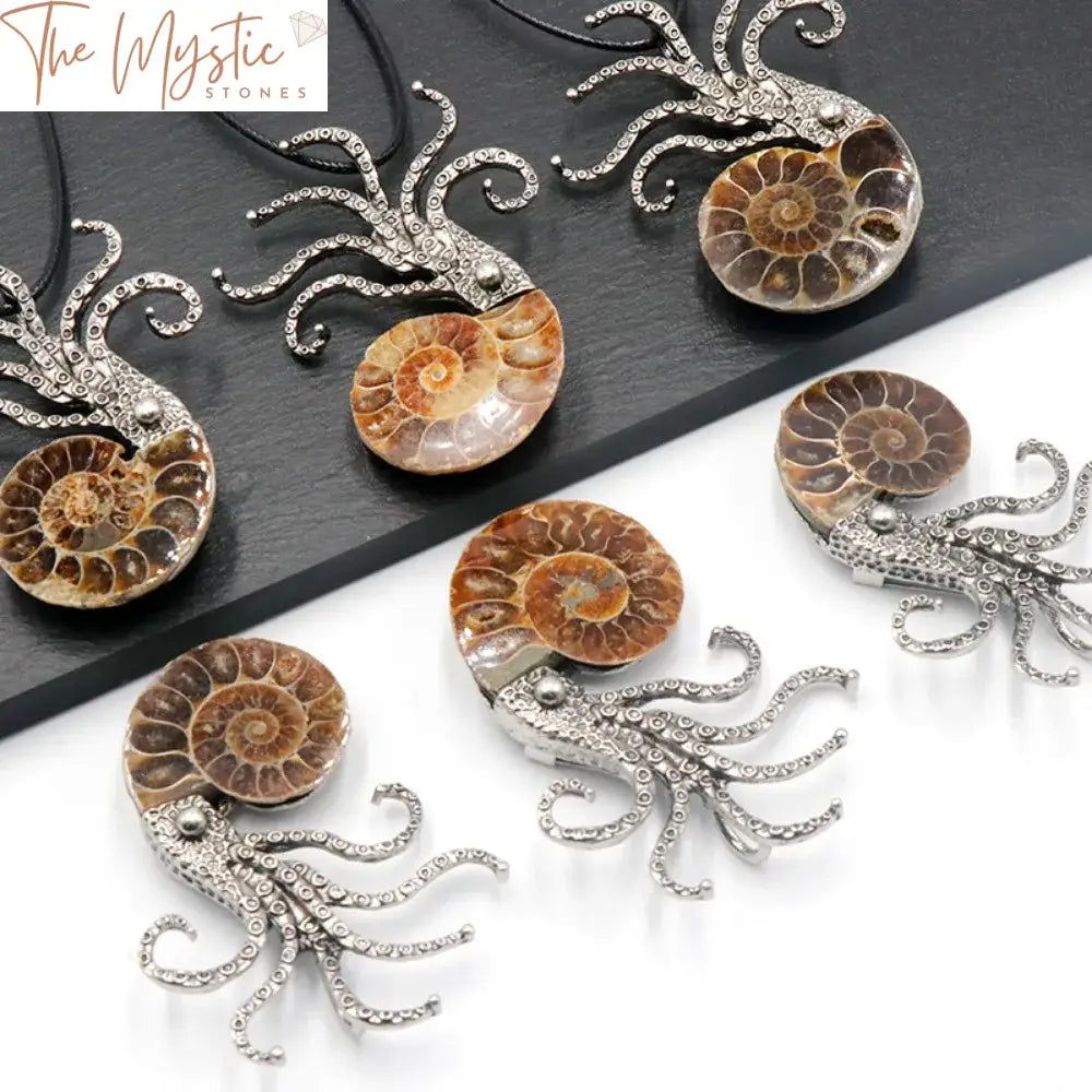 Ammonite Conch Shell Pendant & Octopus Brooch