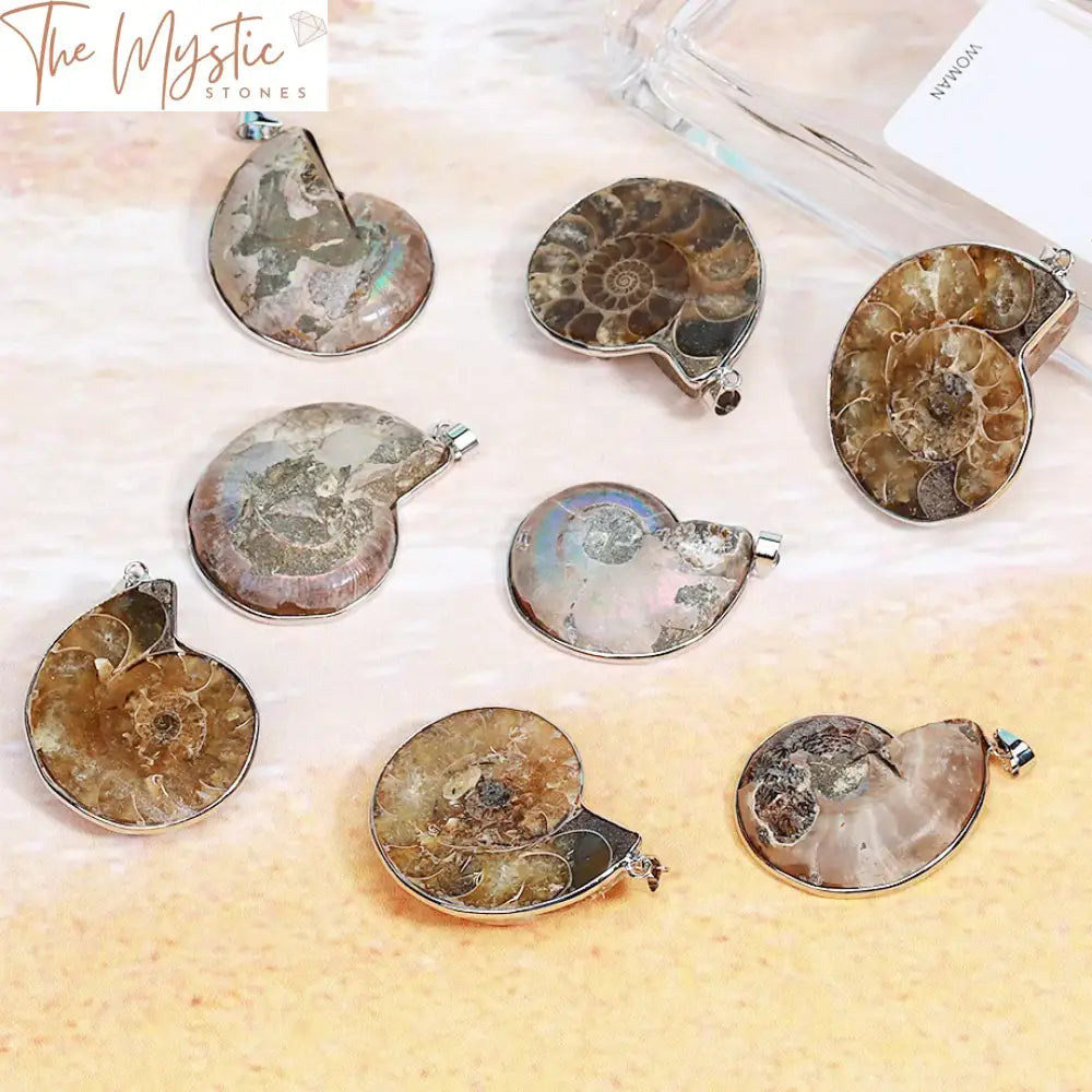 Ammonite Seashell Pendant Necklace