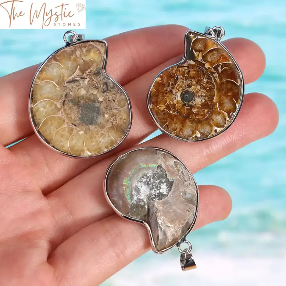 Ammonite Seashell Pendant Necklace