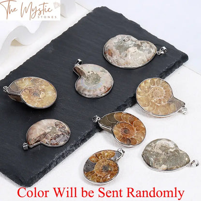 Ammonite Seashell Pendant Necklace