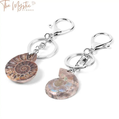 Ammonite Shell Keychain With Lobster Clasp