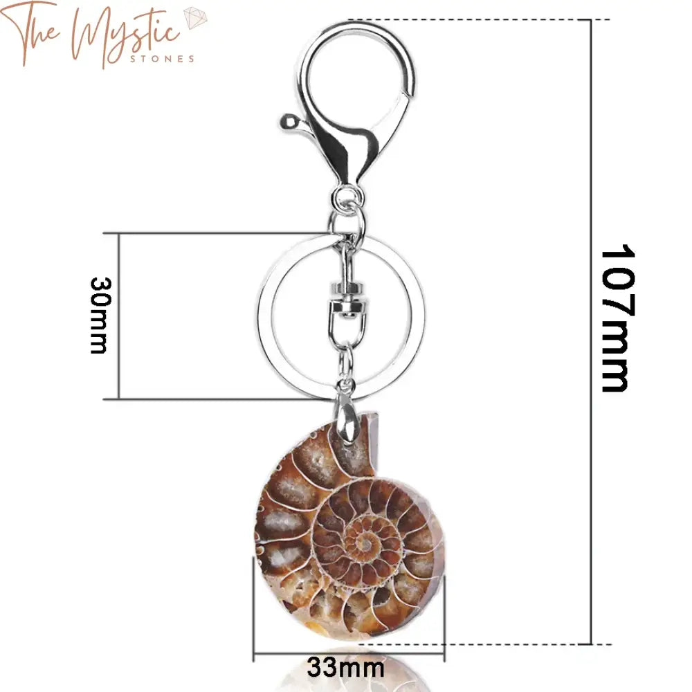 Ammonite Shell Keychain With Lobster Clasp