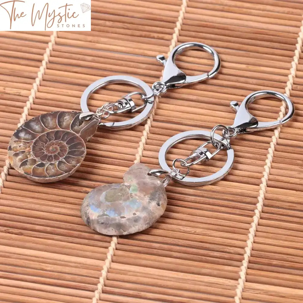 Ammonite Shell Keychain With Lobster Clasp