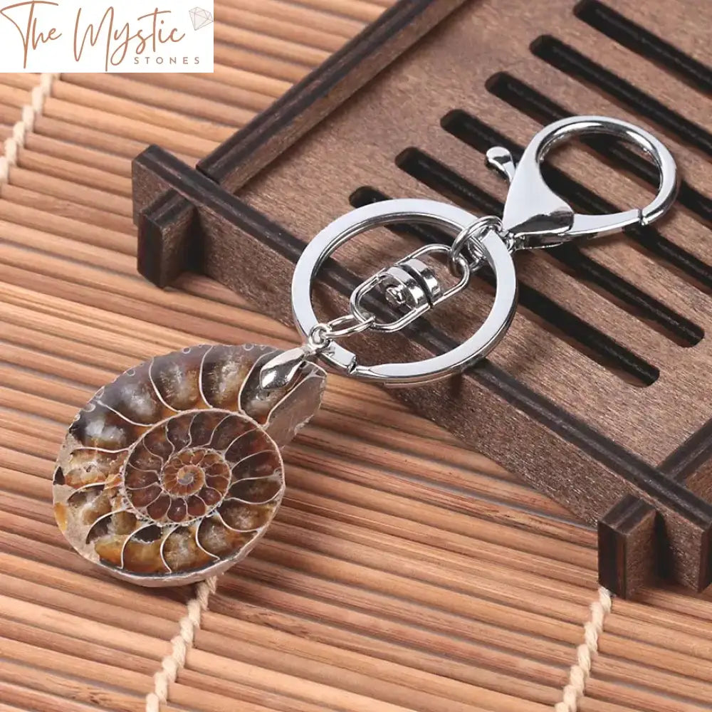 Ammonite Shell Keychain With Lobster Clasp