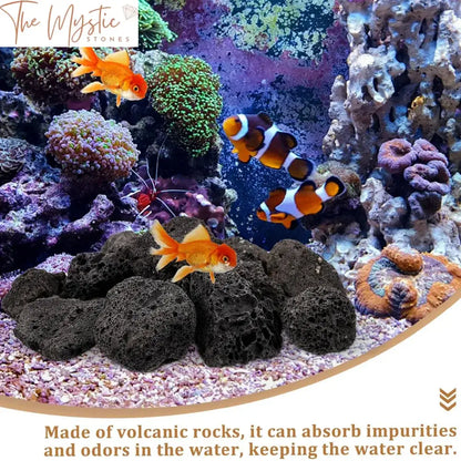 Aquatic Volcanic Landscaping Rocks