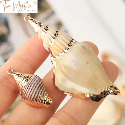 Assorted Natural Seashell Charms 2Pc