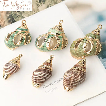 Assorted Natural Seashell Charms 2Pc