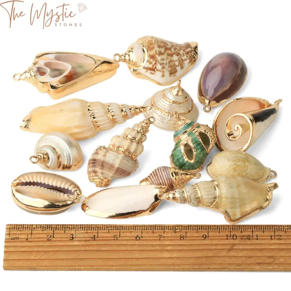 Assorted Natural Seashell Charms 2Pc