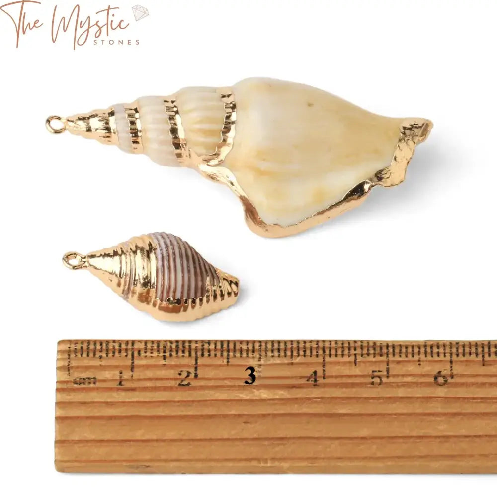 Assorted Natural Seashell Charms 2Pc