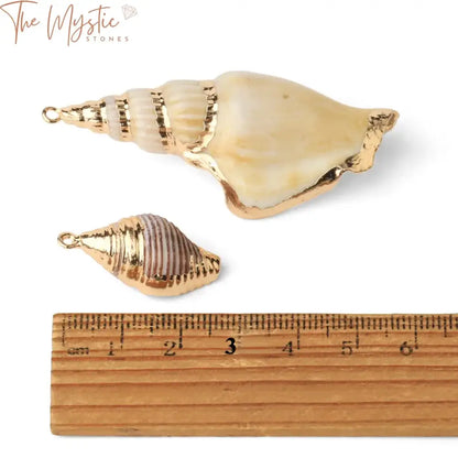 Assorted Natural Seashell Charms 2Pc