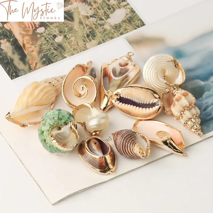 Assorted Natural Seashell Charms 2Pc