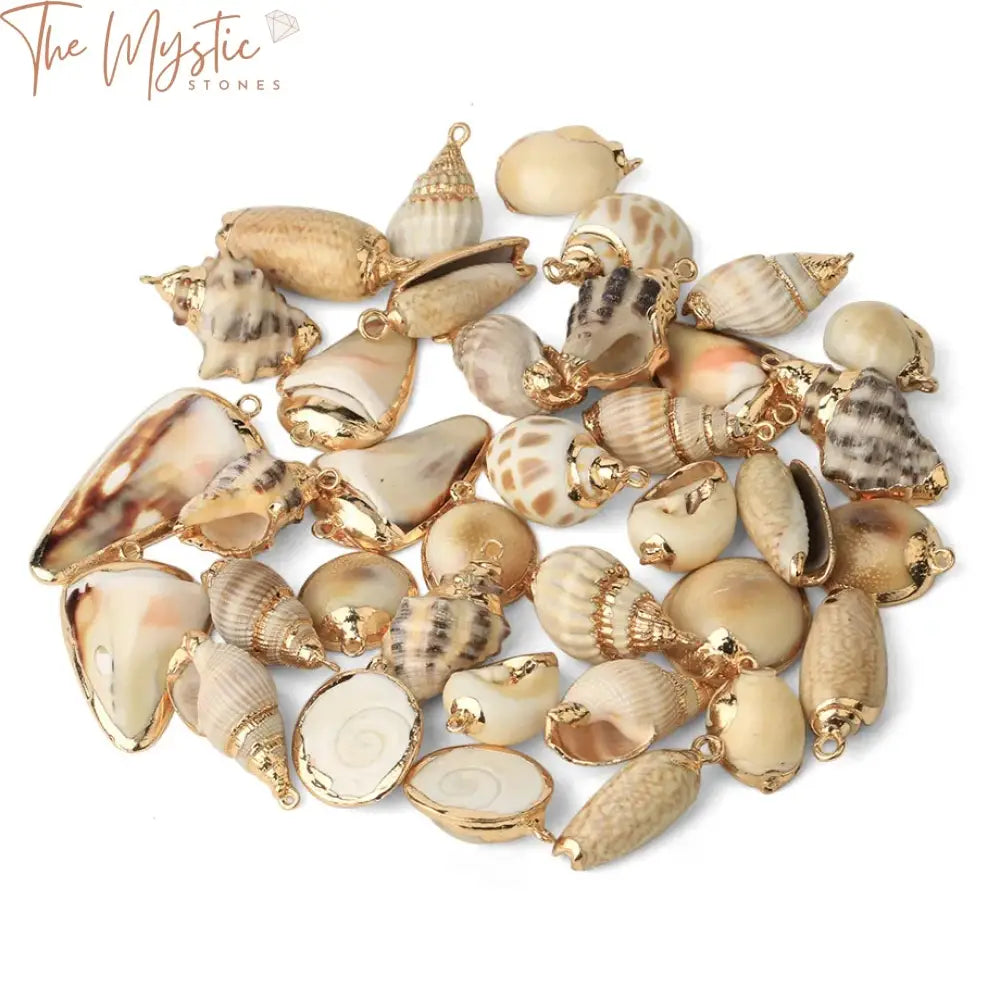 Assorted Natural Shell Conch Charms With Gold-Tone Accent