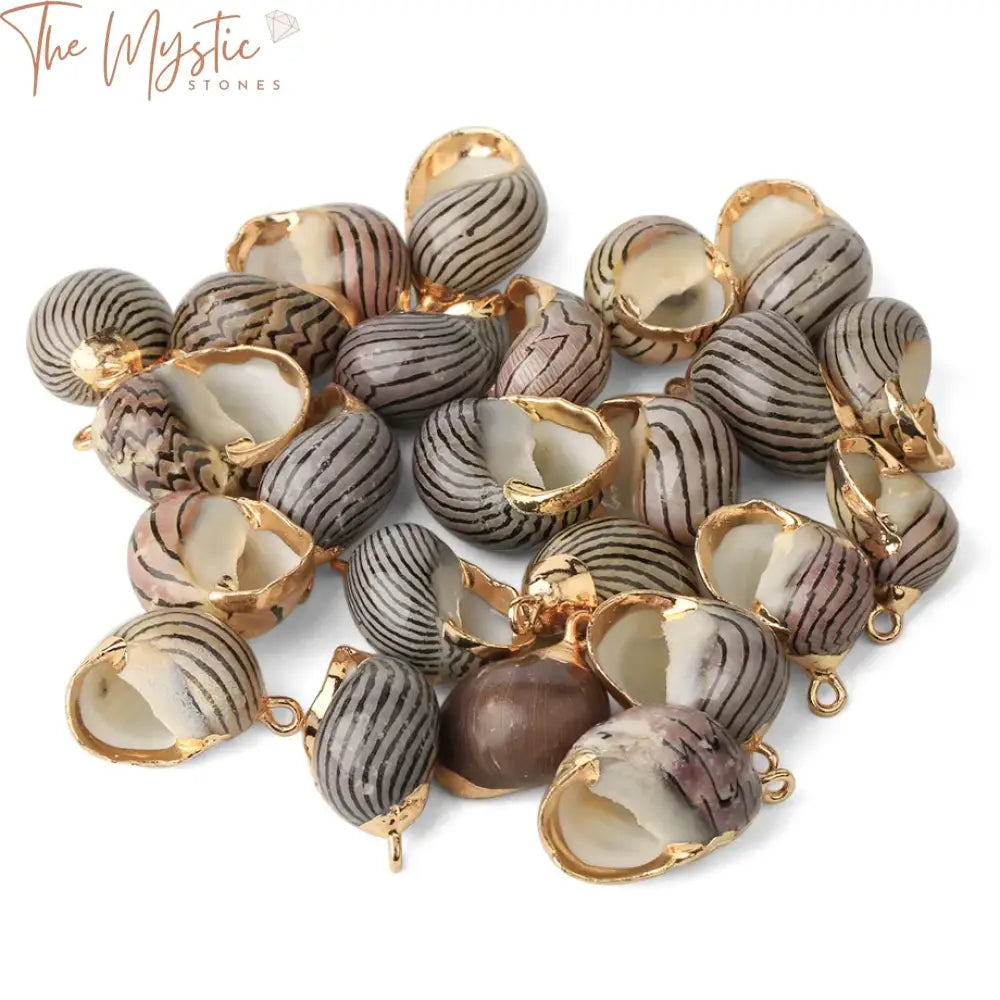 Assorted Natural Shell Conch Charms With Gold-Tone Accent