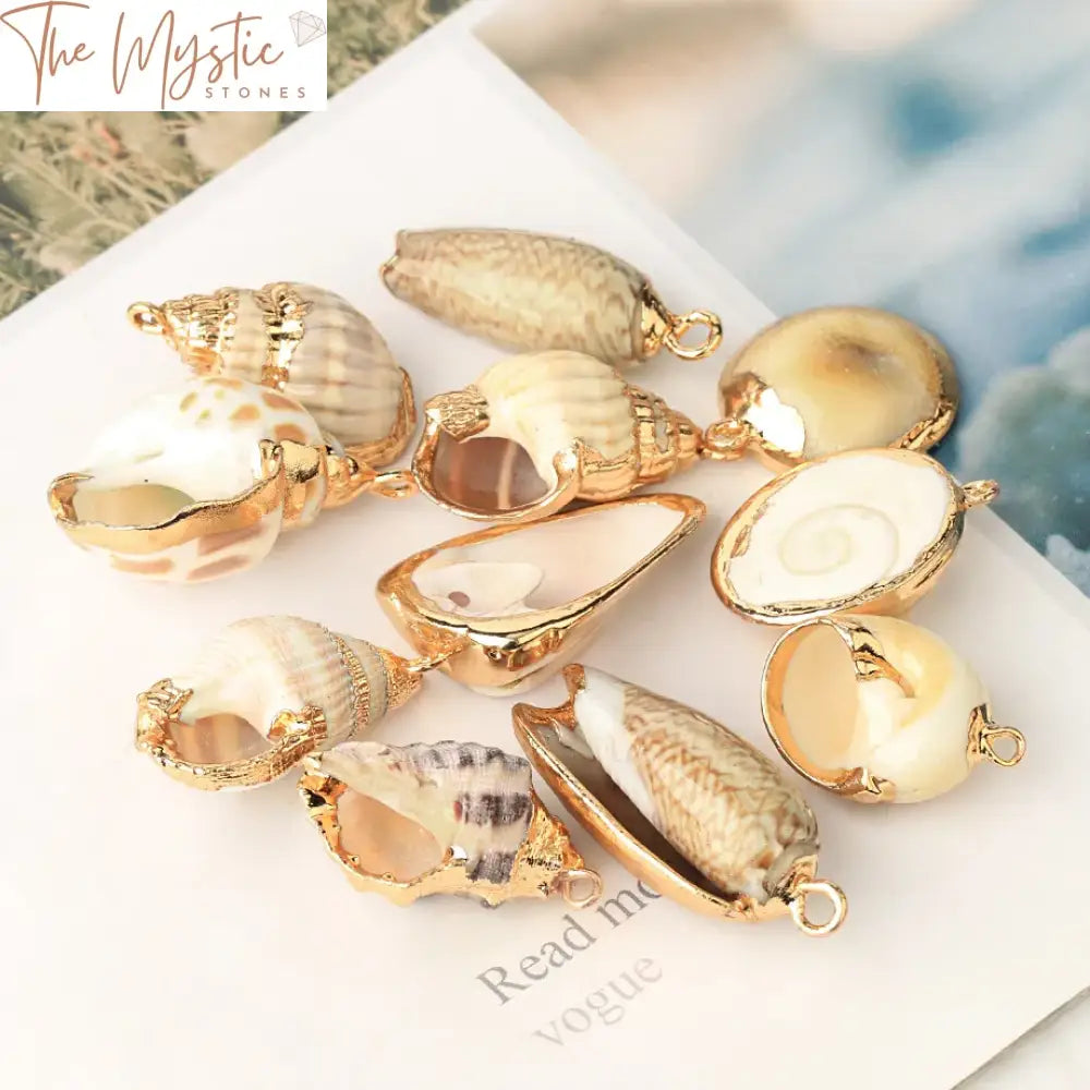 Assorted Natural Shell Conch Charms With Gold-Tone Accent