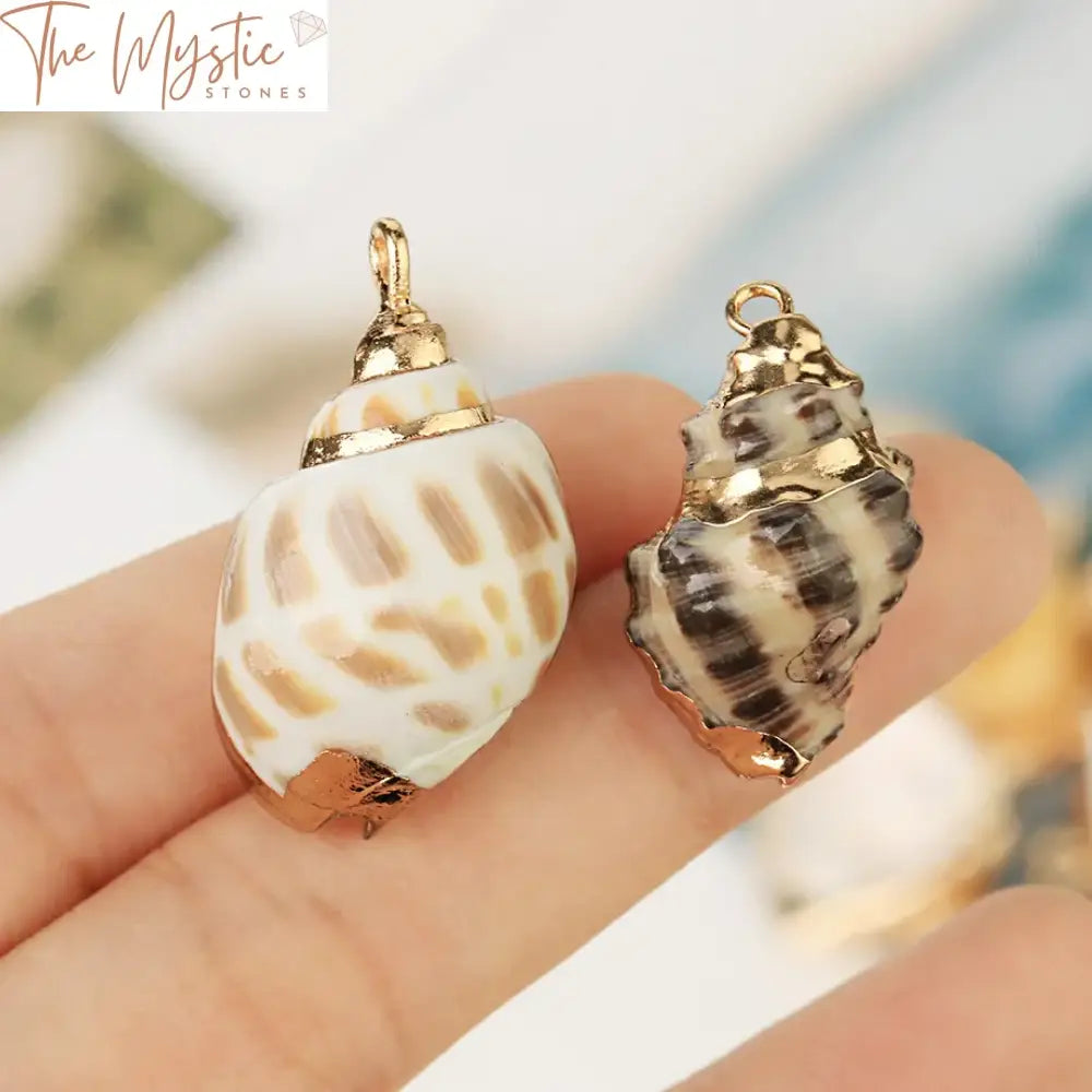 Assorted Natural Shell Conch Charms With Gold-Tone Accent