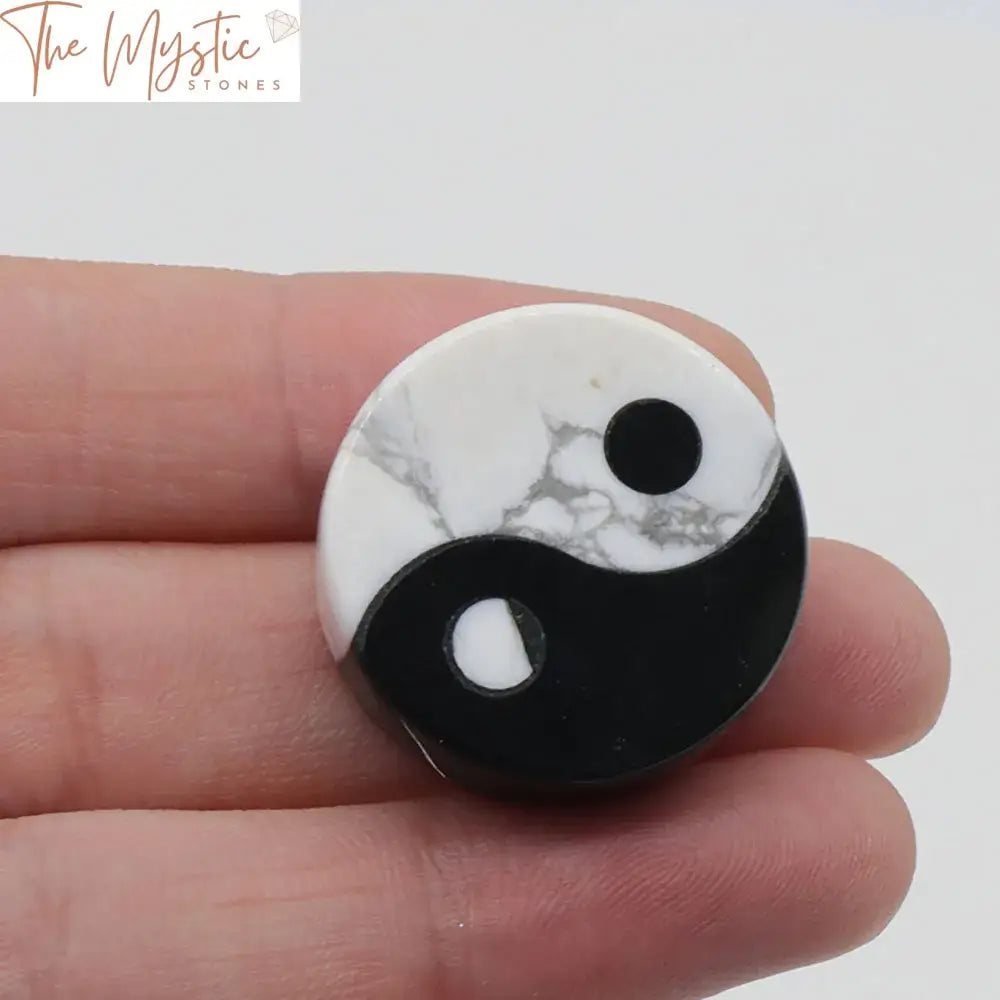 Black Obsidian & White Howlite Yin Yang Taichi Pendant