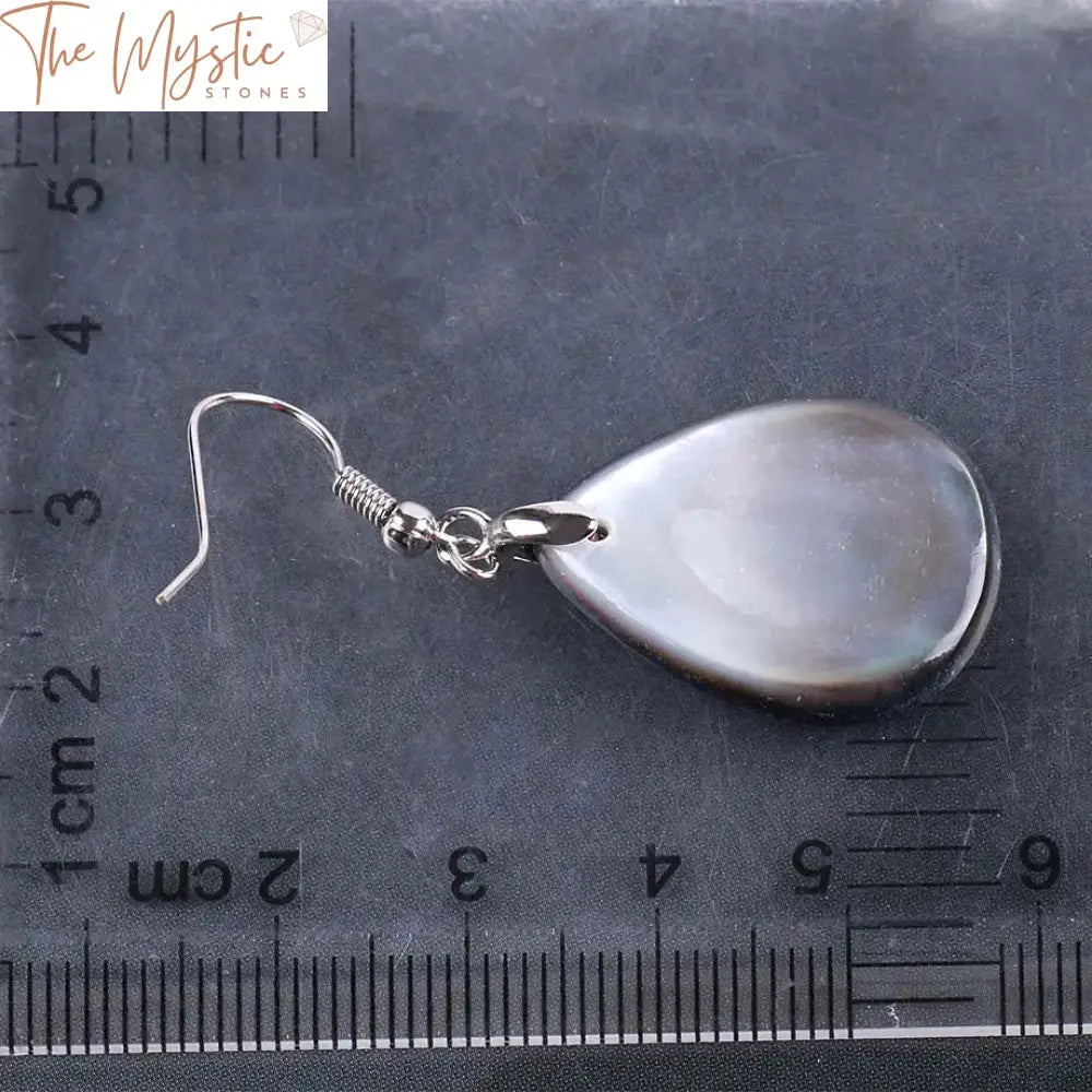 Black Shell Water Drop Earrings