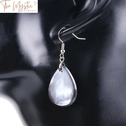 Black Shell Water Drop Earrings