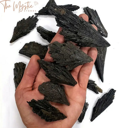 A collection of natural black tourmaline and black kyanite crystals displayed on a light-colored surface.