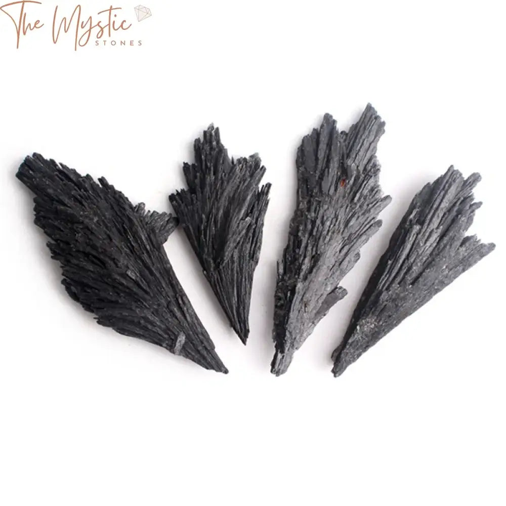 Black Tourmaline & Kyanite Crystal Fan