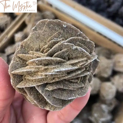 Desert Rose Selenite Quartz Crystal - Raw Gemstone Specimen For Reiki Healing