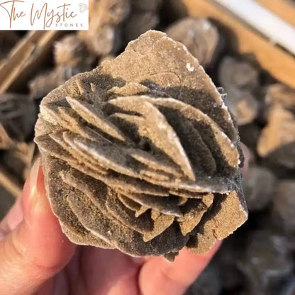 A close-up image showcasing a collection of raw, unpolished quartz desert rose crystals and selenite stones.