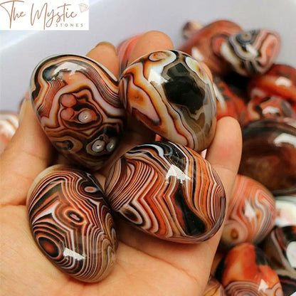 A polished, smooth agate stone displaying swirling patterns of earthy tones such as brown, beige, and hints of white.