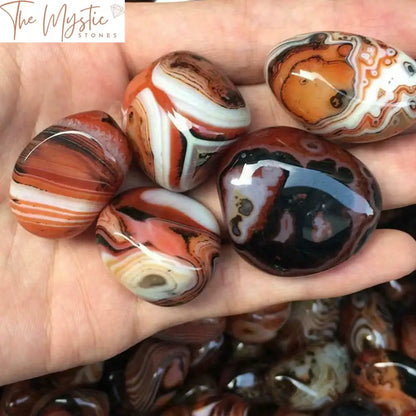 Madagascar Banded Agate Geode 5-Piece Set