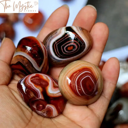 Madagascar Banded Agate Geode 5-Piece Set