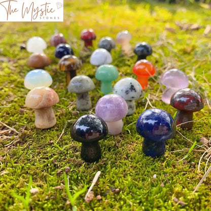 Mixed Mini Agate Mushroom Set - 10Pcs