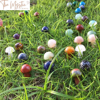 Mixed Mini Agate Mushroom Set - 10Pcs