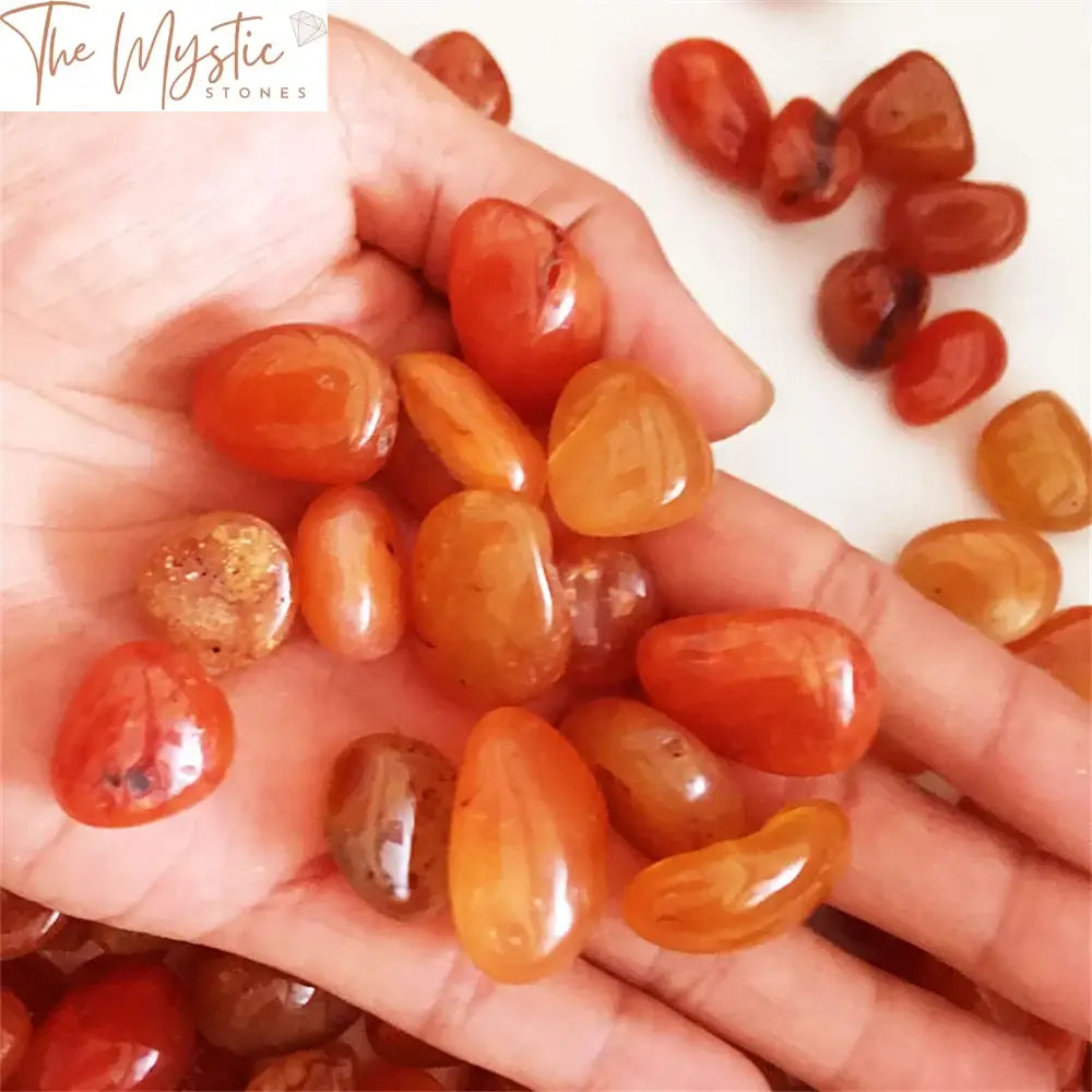 A collection of natural, irregularly-shaped carnelian stones with a rich red hue, showcasing a rough texture.