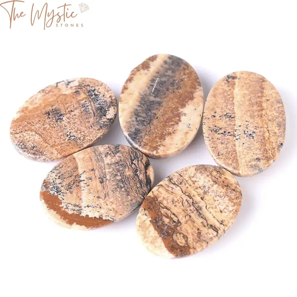 Oval Picture Jasper Cabochon Beads