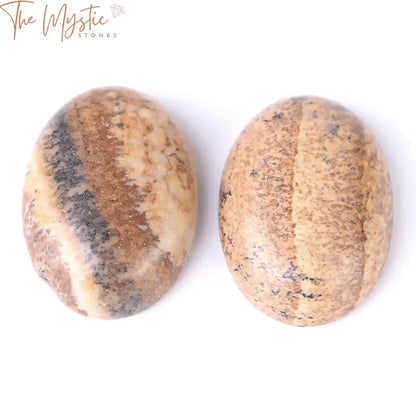 Oval Picture Jasper Cabochon Beads