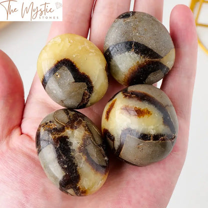 A polished Septarium tumble stone featuring a mix of yellow, brown, and gray earthy tones with unique, natural patterns.