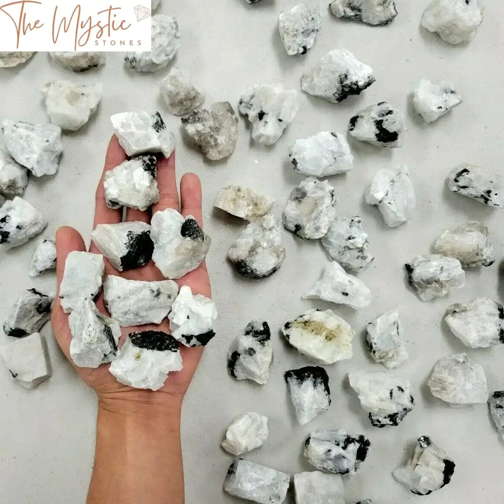 A collection of rough, white moonstone crystals displayed against a neutral background.